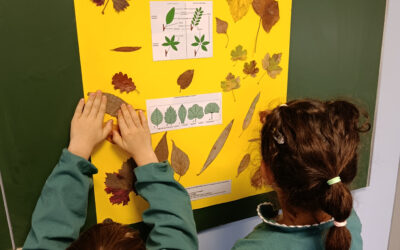 En images, l&rsquo;automne dans nos classes de la maternelle à la troisième